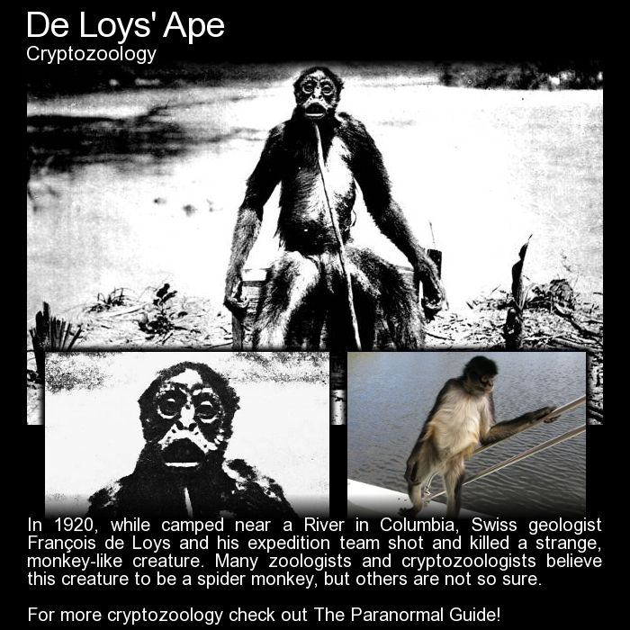 TaintedTales's tweet photo. Paranormal Strange Events #UFO #ParanormalGuide #RealStories #Horror @BlackeyedxBlond @GothicLibrary13 @DetectiveCreeps https://t.co/3x5JORy98m
