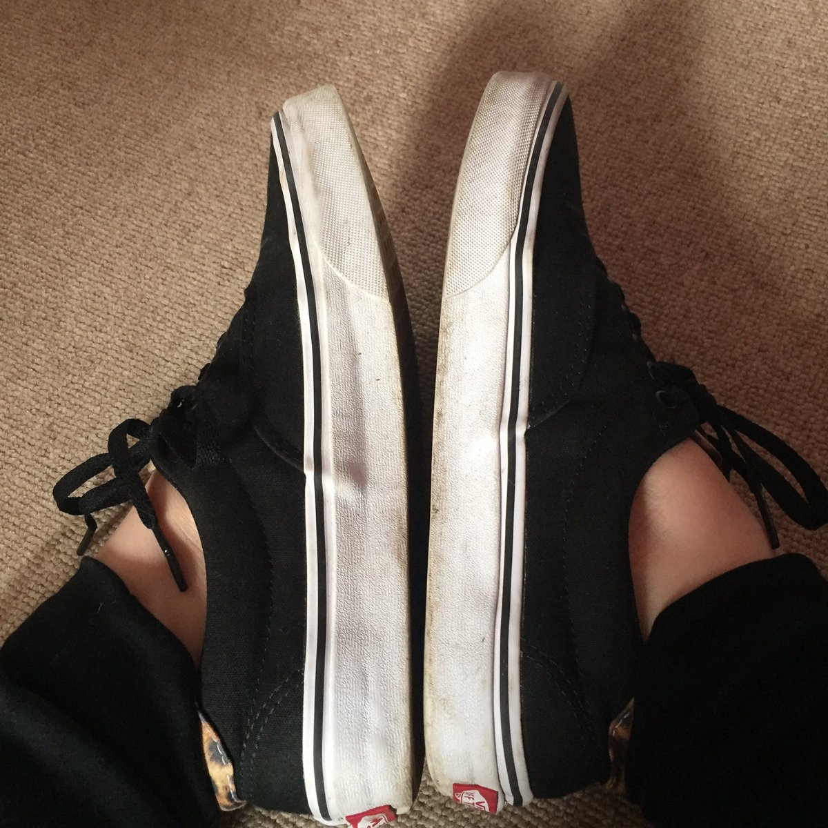 mprincesshannah's tweet photo. Used, well worn, smelly vans. Payment to be made via PayPal. Highest offer accepted. #footfetish #paypig #findom #cashcow #findomme https://t.co/N8ZwTysQ4f