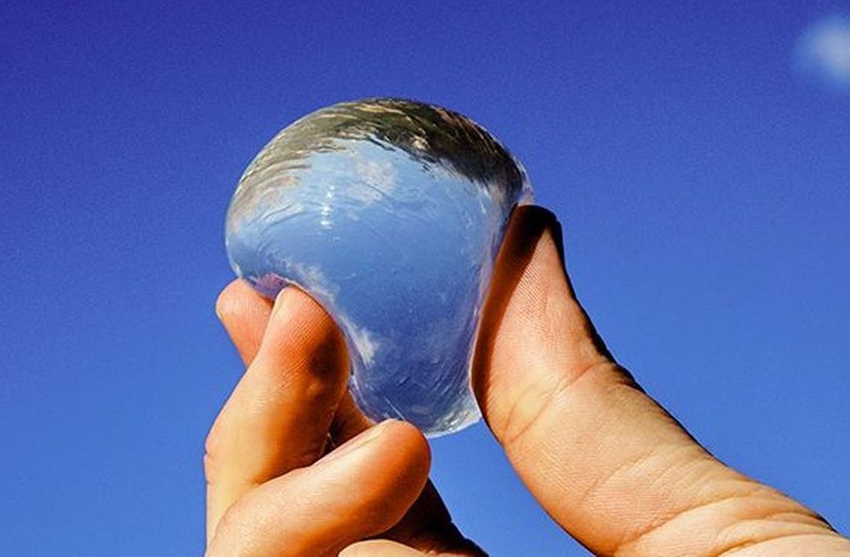 CNET's tweet photo. Water you can bite into: This startup wants to replace plastic bottles with edible water bubbles https://t.co/WnM4lhWfLK https://t.co/pYw40NaOfp