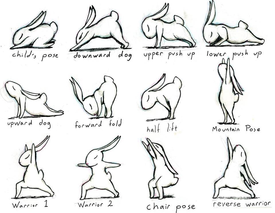 Sunday morning Easter yoga...