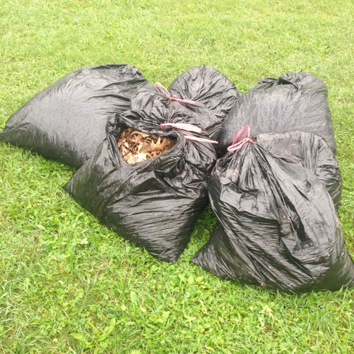 City of Edmonton on X: You can use a black garbage bag for yard