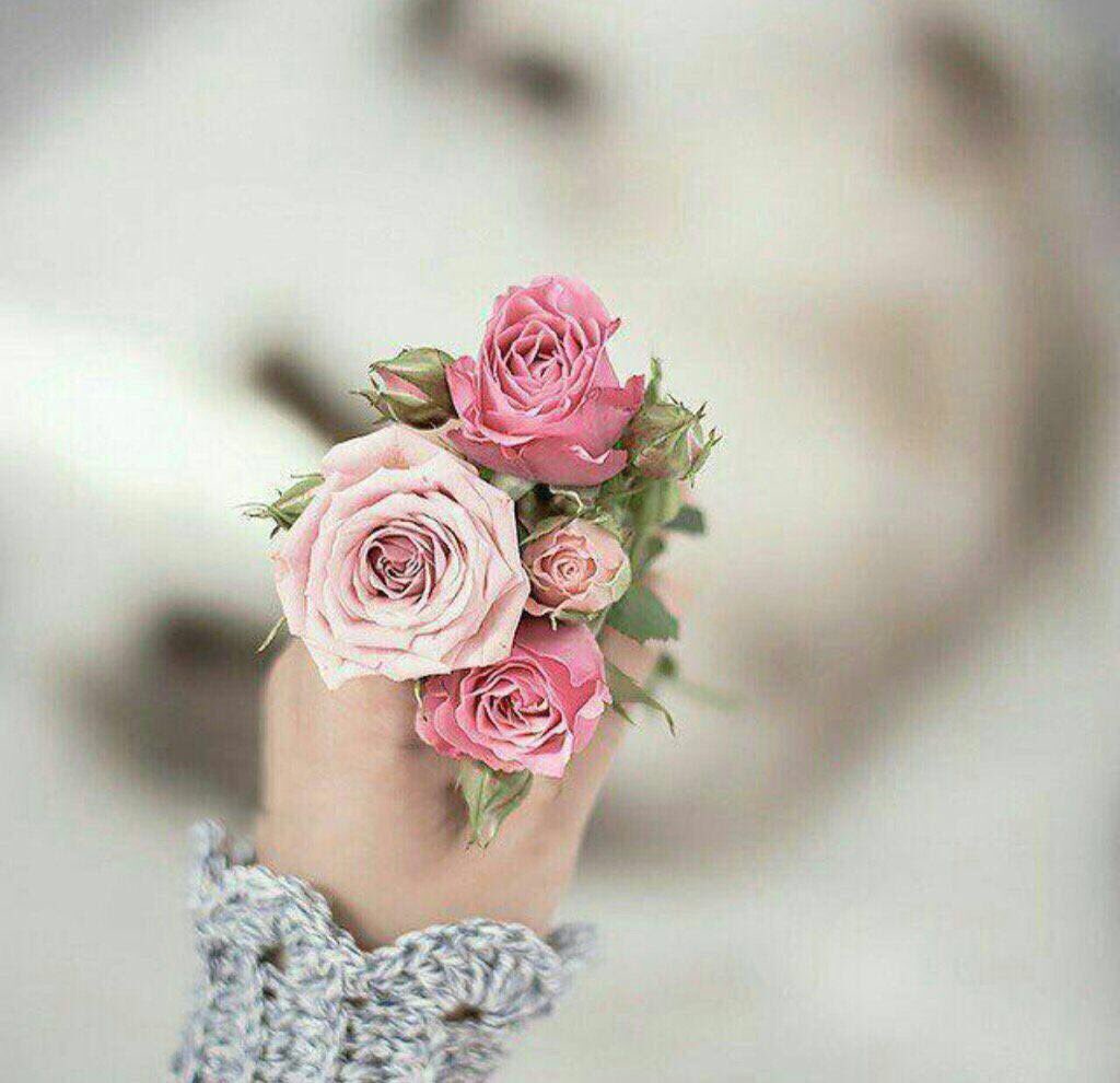 لَمًعٌة آلَألَمًآسِـ tweet media