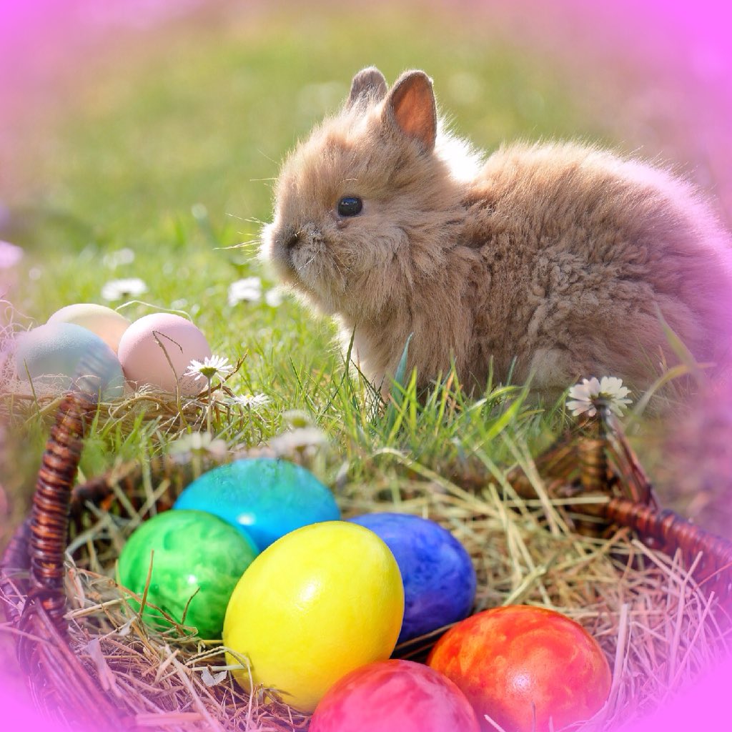 PhotoTangler tweet picture