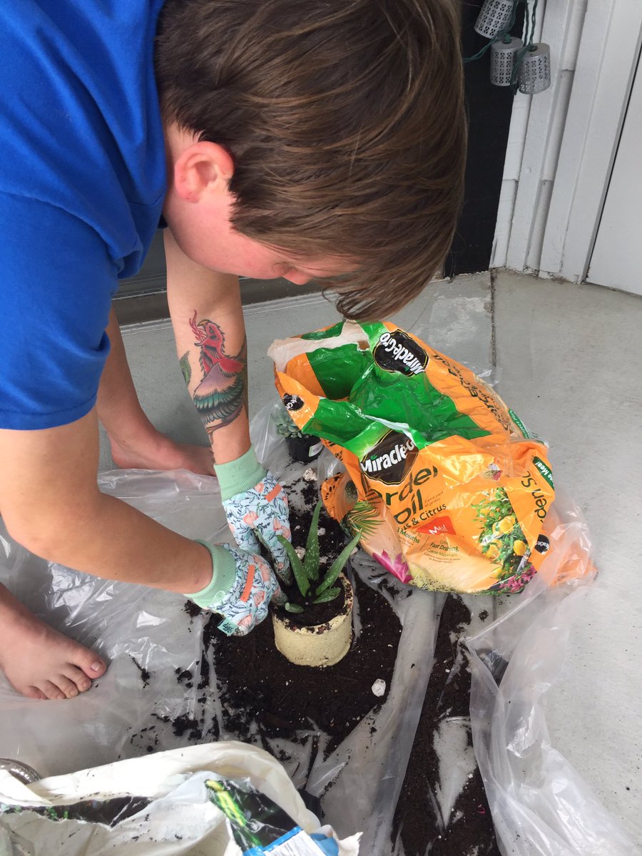 ChristinaTHD's tweet photo. Happy Easter Everyone 🐣🌺🌿
Spent the morning planting succulents from #TheHomeDepot https://t.co/PTG13x7a6J