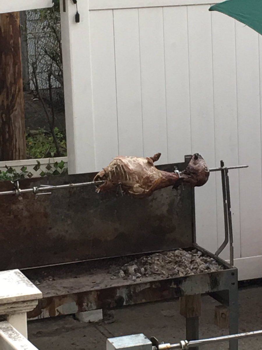 Neighbor's Easter Lamb we affectionately named him Sean "spicey" spicer. He was delicious!