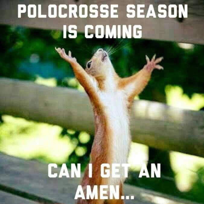 UKPolocrosse's tweet photo. First grass tournament is the 13/14 May at Rugby Polocrosse Club - hurrah!! #polocrosse #horse #thisispolocrosse https://t.co/Sgfypfn9fY