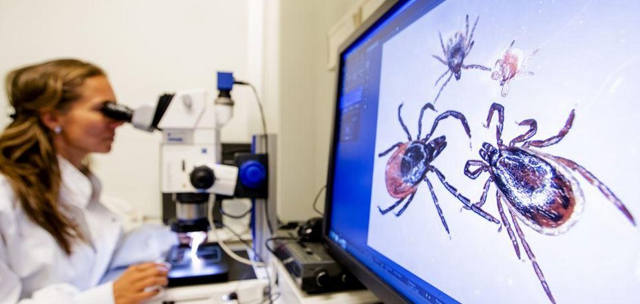 pointer_kroncrv's tweet photo. Vanavond helaas geen uitzending. Maar volgende week zie je ons onderzoek naar de strijd om de diagnose bij Lyme: https://t.co/yxDWzHQNdW https://t.co/5rdRG3WTgI