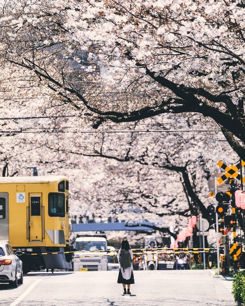 AestheticsJapan tweet picture
