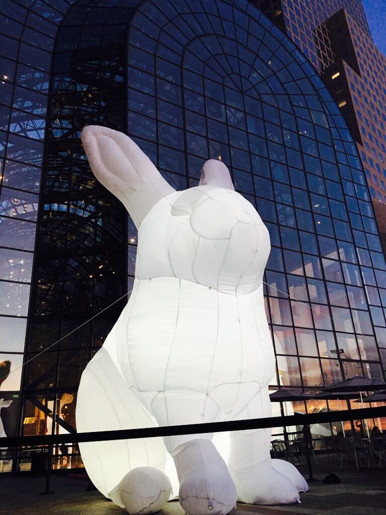 whiterabbit_lab's tweet photo. Easter sunday vibes... 🐰 que cada nuevo nacimiento llegue acompañado de nuevas experiencias artísticas #happyeaster  #whiterabbitlab https://t.co/Whv0rfSG1V