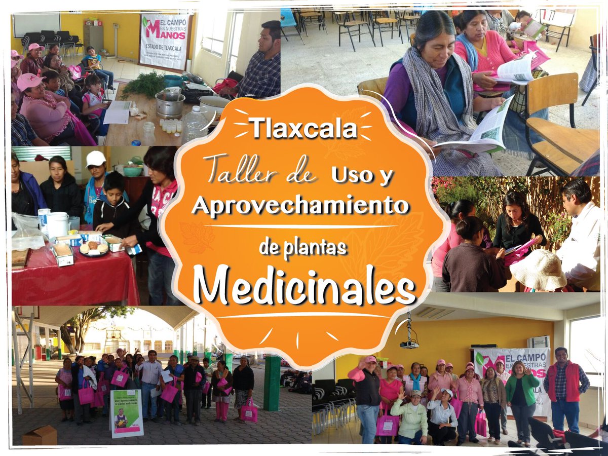 Mely Romero tweet media