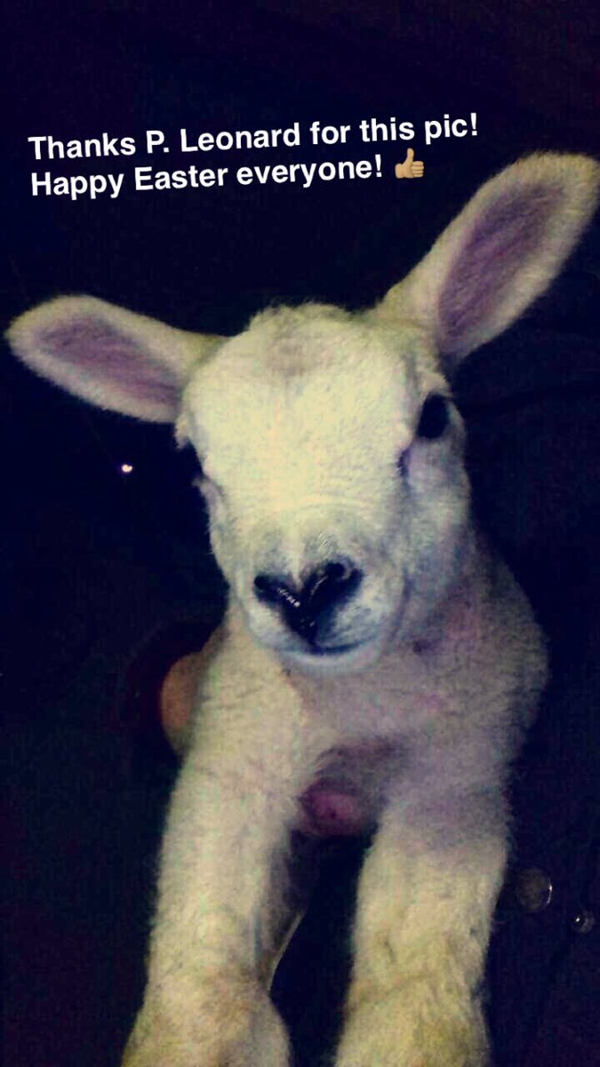 HAPPY EASTER EVERYONE!