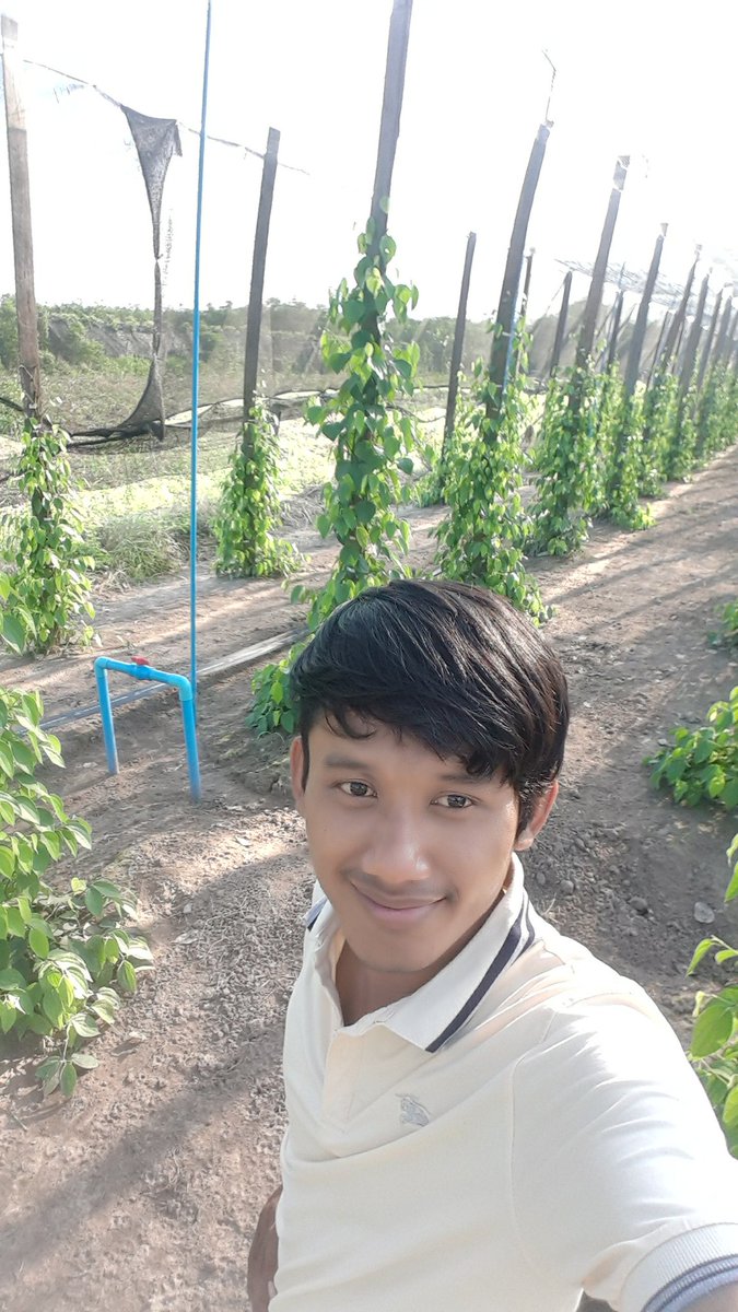 RadySingle's tweet image. Good evening all Fri