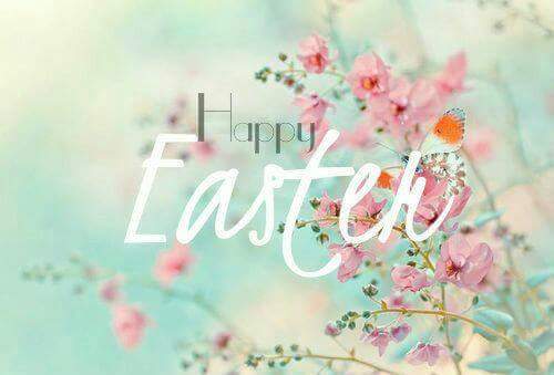 stacy gault (@gaultstacy) on Twitter photo 