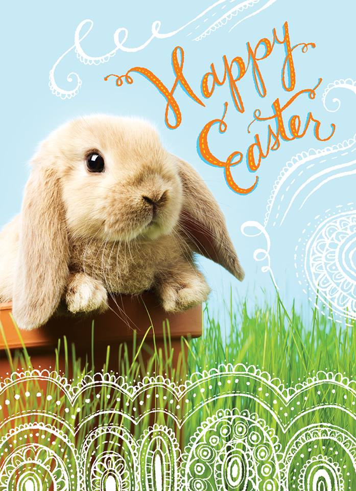 DGCards's tweet photo. #HappyEaster to all our friends celebrating! https://t.co/71374f6ObS