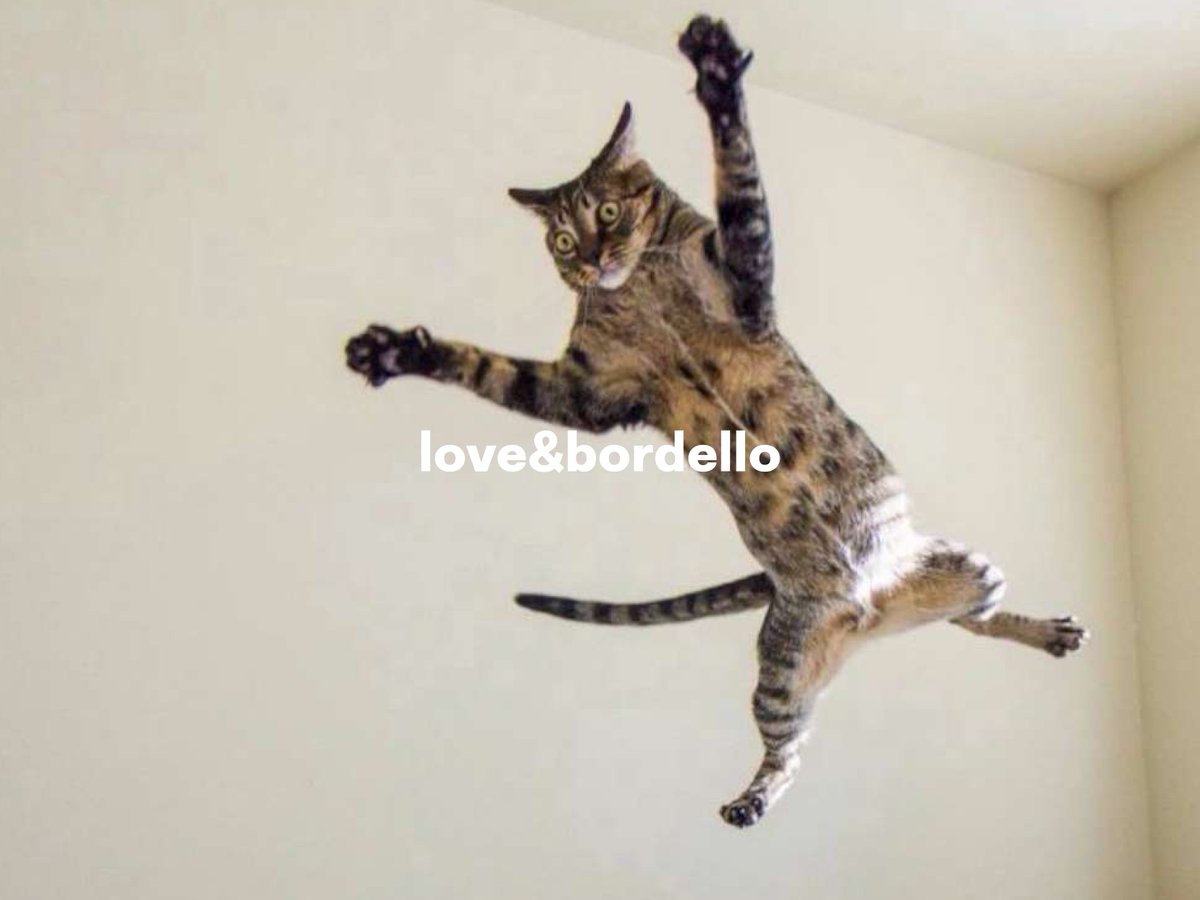 "L’idea è presentare un’offerta collettiva, trasformando Macao in una proprietà comune un bene per la cittadinanza"
ilmanifesto.it/macao-vuole-co…