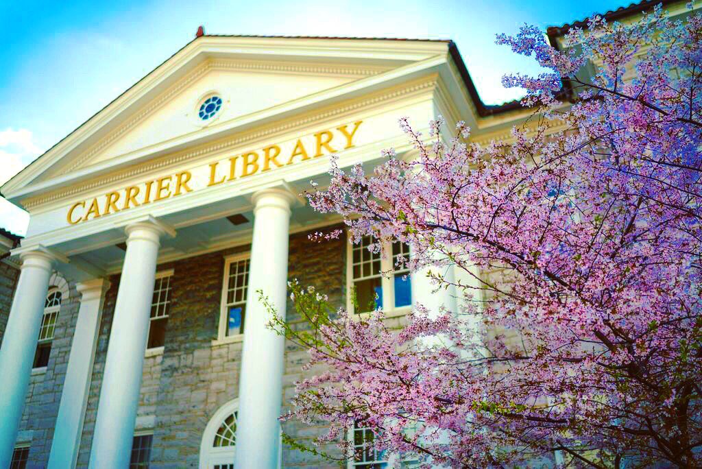 JMU is beautiful 🌸💛💜