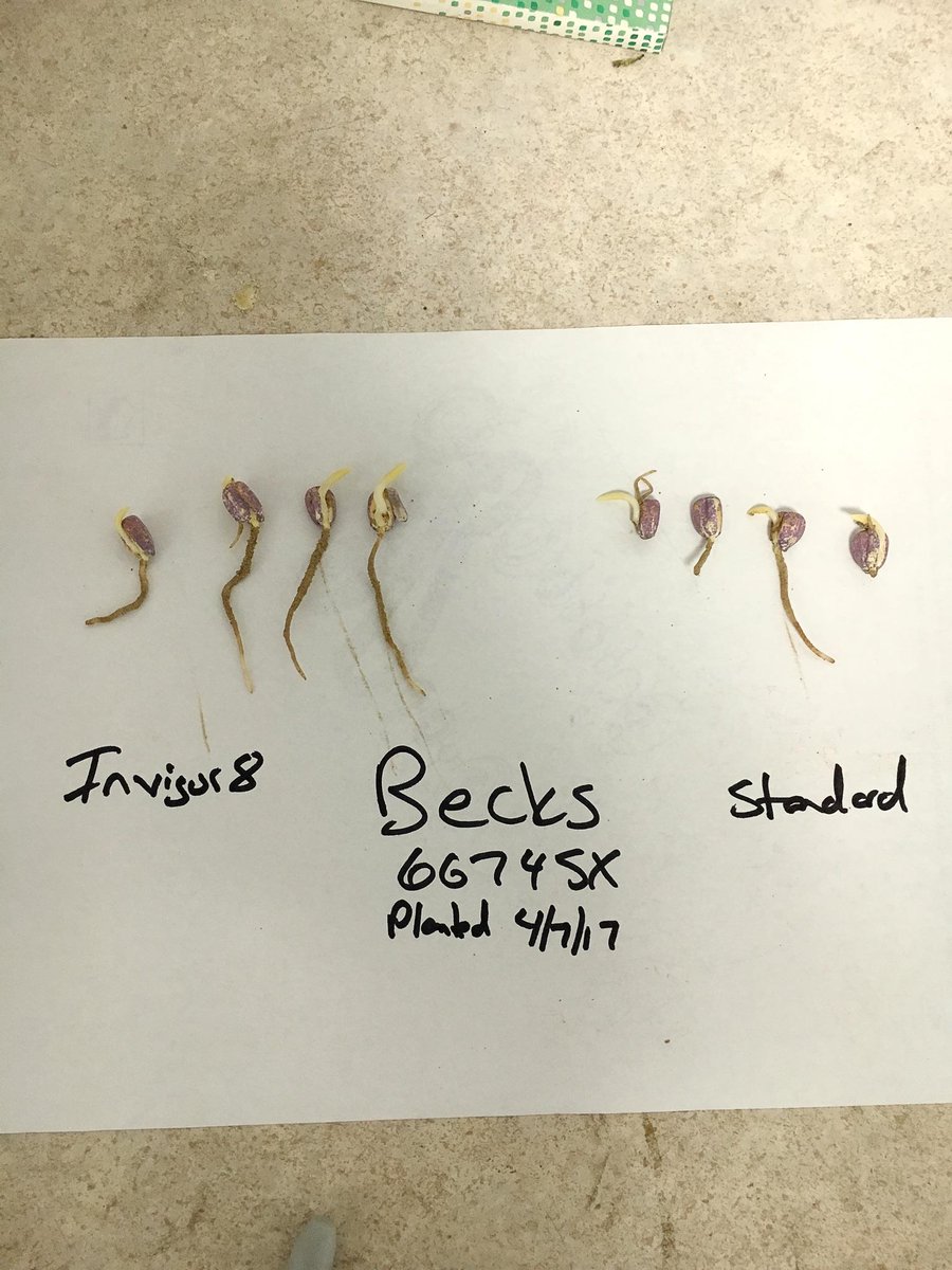GenesisAgLife's tweet photo. I'm liking what I'm seeing out of the Invigor 8™ seed treatment and Beck's this spring #invigor8 #GenesisAg @BecksHybrids #WeAreFamily https://t.co/CUDBvwZ1eL