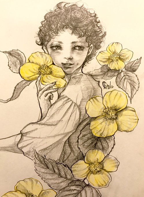 誕生花 高画質 のtwitterイラスト検索結果 古い順