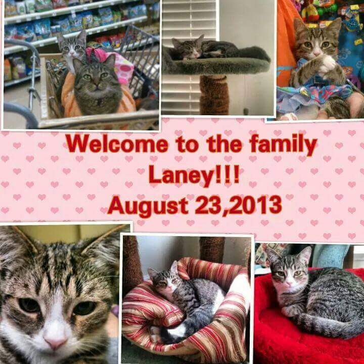 ChaddyKlett's tweet photo. Remembering you Laney. We love and miss you baby girl. "Hey Pretty Girl" ❤💕❤ https://t.co/KMMo7z4igP