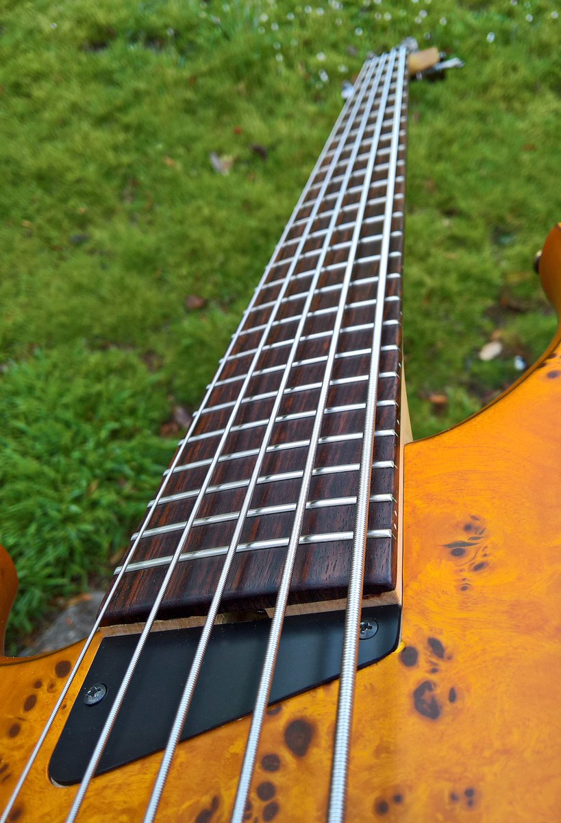 IllogisticalRD's tweet photo. Got the MTD 5 string bass PLEK tuned. Plays so buttery now. #tunedbyrobot #plek #lowaction @MTDbassUSA https://t.co/0VUuzoqJmv