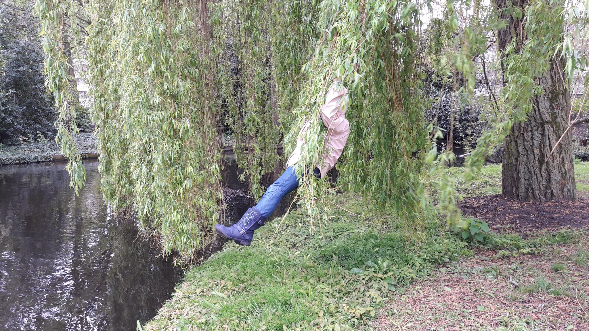 牛乳を注ぐ尼僧 枝垂れ柳の木の下に幽霊が ひゅ ドロドロ いうホラーなイメージが 柳の木にはまったくないオランダ 長い枝を結んでブランコにするという こんな風流な遊び方が 私は体重で枝が折れたら怖いので乗る勇気がないけど 子どもには楽しい