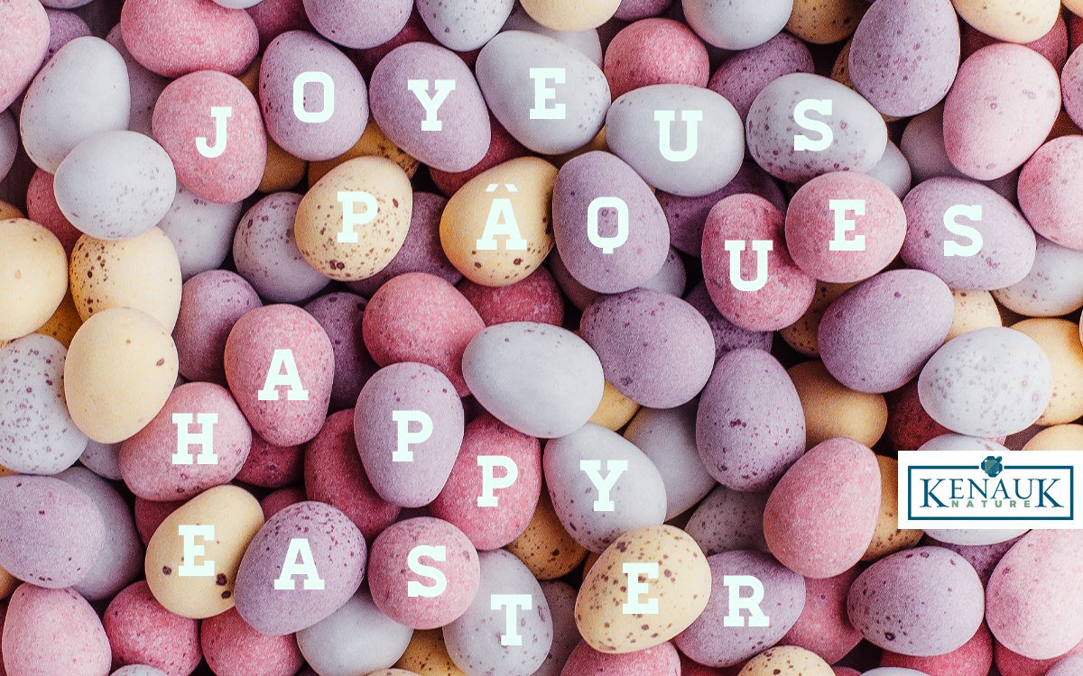 Fish Kenauk tweet media