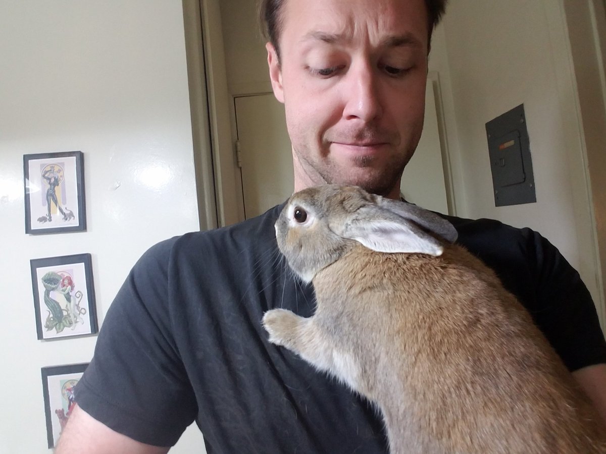 Matt_Hiscox's tweet photo. HAPPY #EASTER EVERY BUNNY!
...rabbits are amazingly difficult to hold. https://t.co/dVcjm5HG6b
