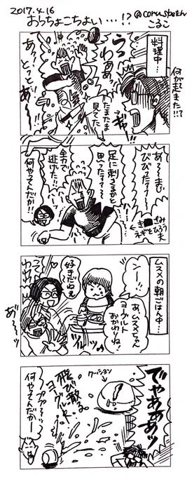一昨日夜と今朝の出来事 
