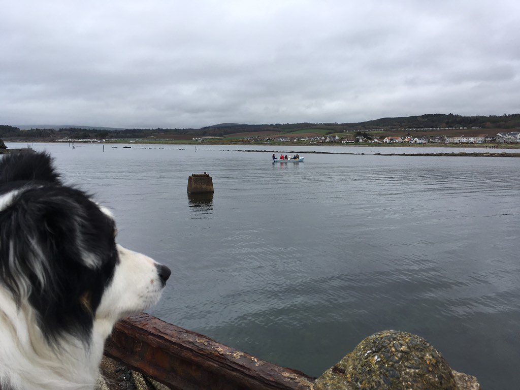 Del exploring the Ayrshire village of Maidens <a href="/AilsaCraigrock/">Ailsa Craig</a> @VisitAyrshire <a href="/BCTGB/">Border Collie Trust</a> <a href="/golfsouthayr/">GOLF SOUTH AYRSHIRE</a> <a href="/AyrshireAlps/">AyrshireAlps</a>