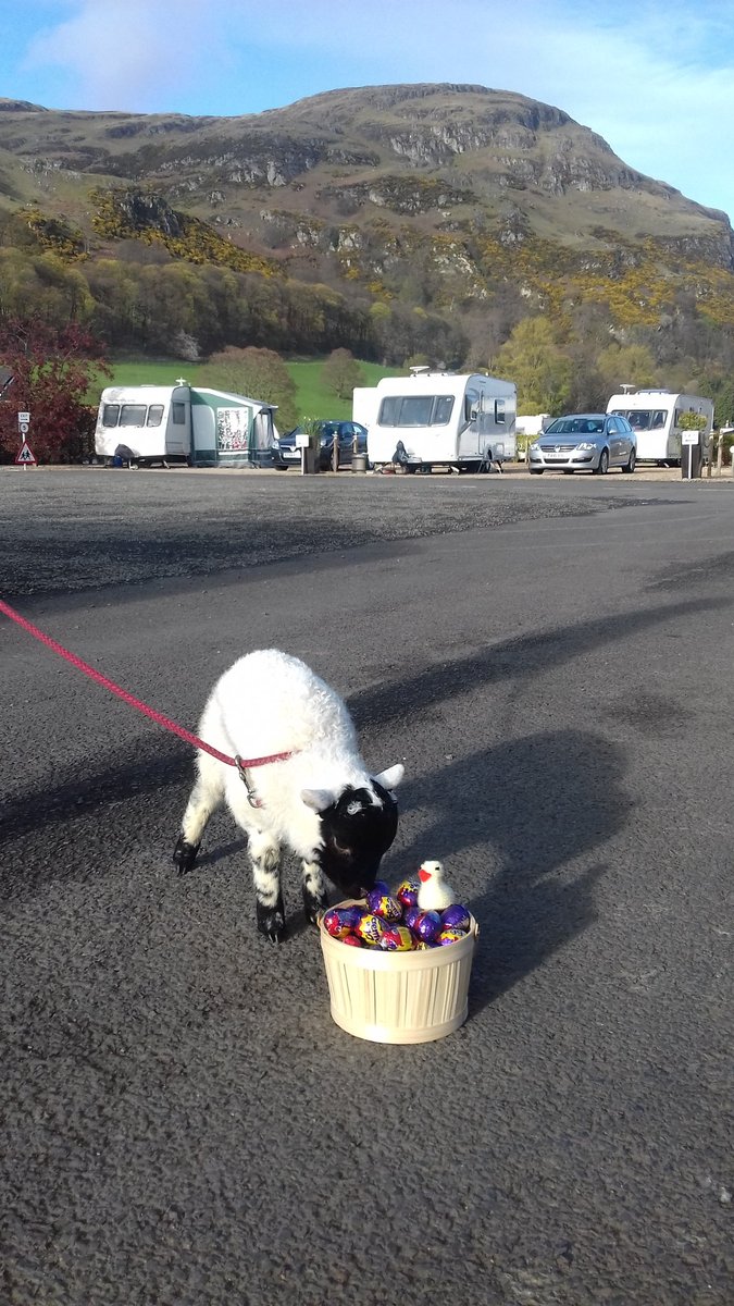 WitchesCraig tweet media