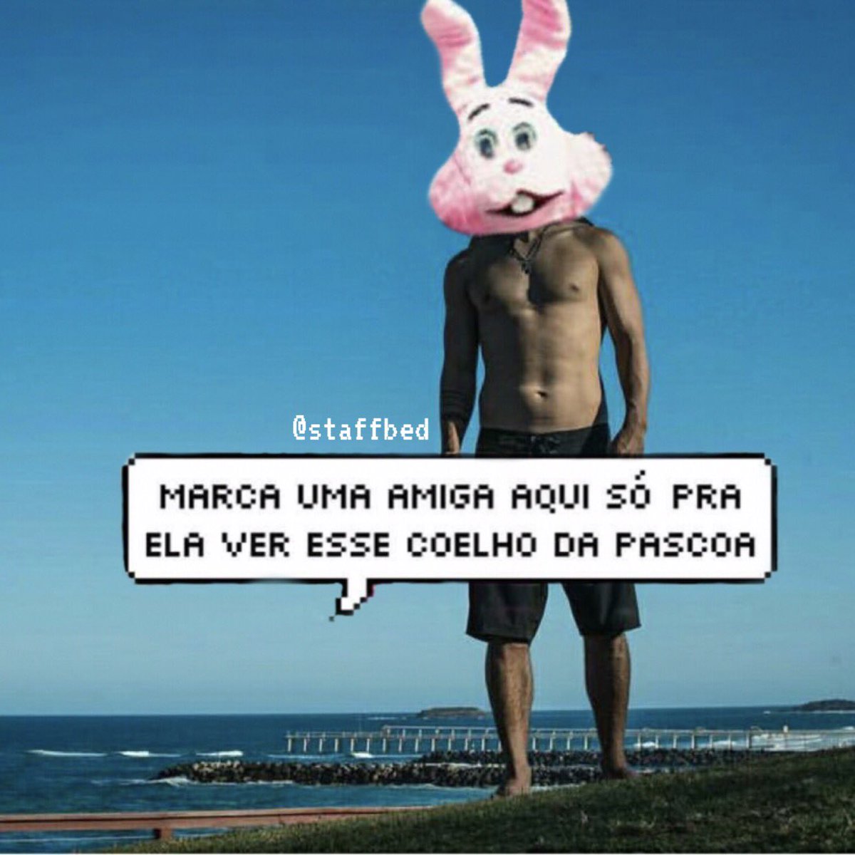 staffbed's tweet photo. Um coelhão desses bicho 🐰❤️@Bruninho https://t.co/y5spaYLle0