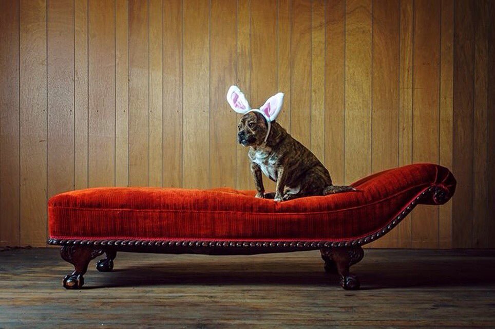 SitSessions tweet media