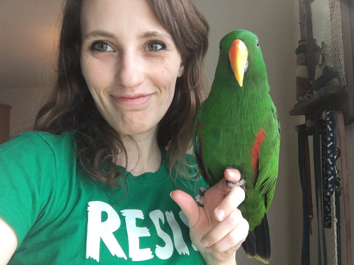 many_creaturess's tweet photo. We match 💕 #parrot https://t.co/5op22hvUwg