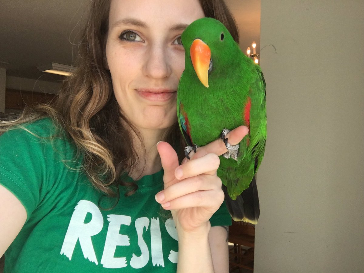 many_creaturess's tweet photo. We match 💕 #parrot https://t.co/5op22hvUwg