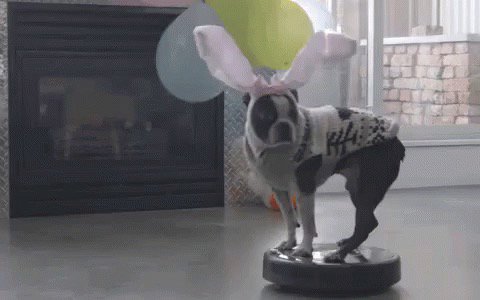 TryJones's tweet photo. Happy Easter! https://t.co/DCZ6iLVrAe