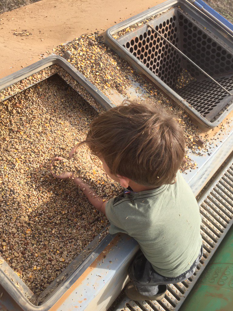 grant_sims's tweet photo. Giving the covercrop seed its last mix! https://t.co/xrfQVQ2RbH