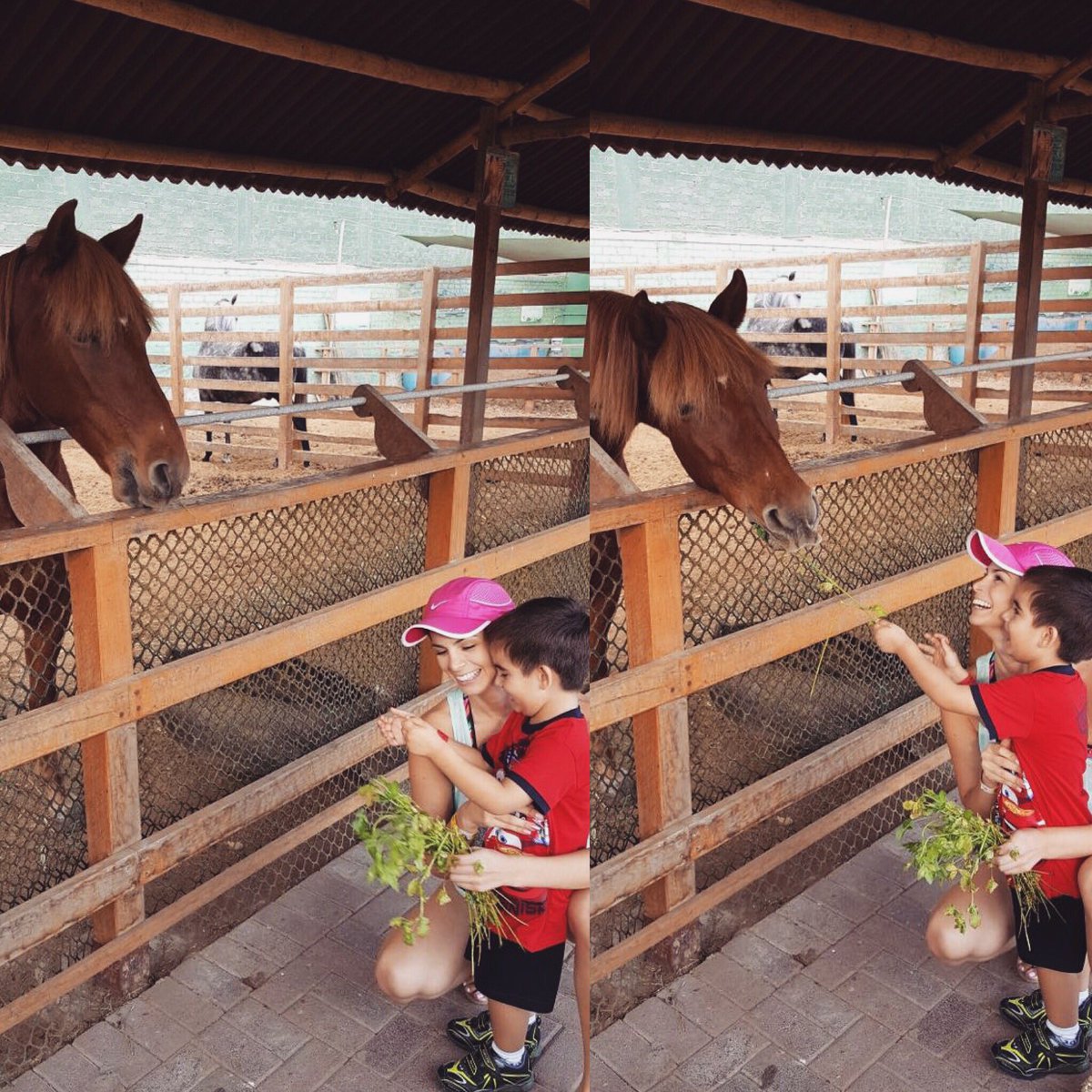 SullySaenzPeru's tweet photo. Comidita al caballito 🐴🌱🌱💕
#marcheternuras #hijitoymami https://t.co/g7Xsrouzl6