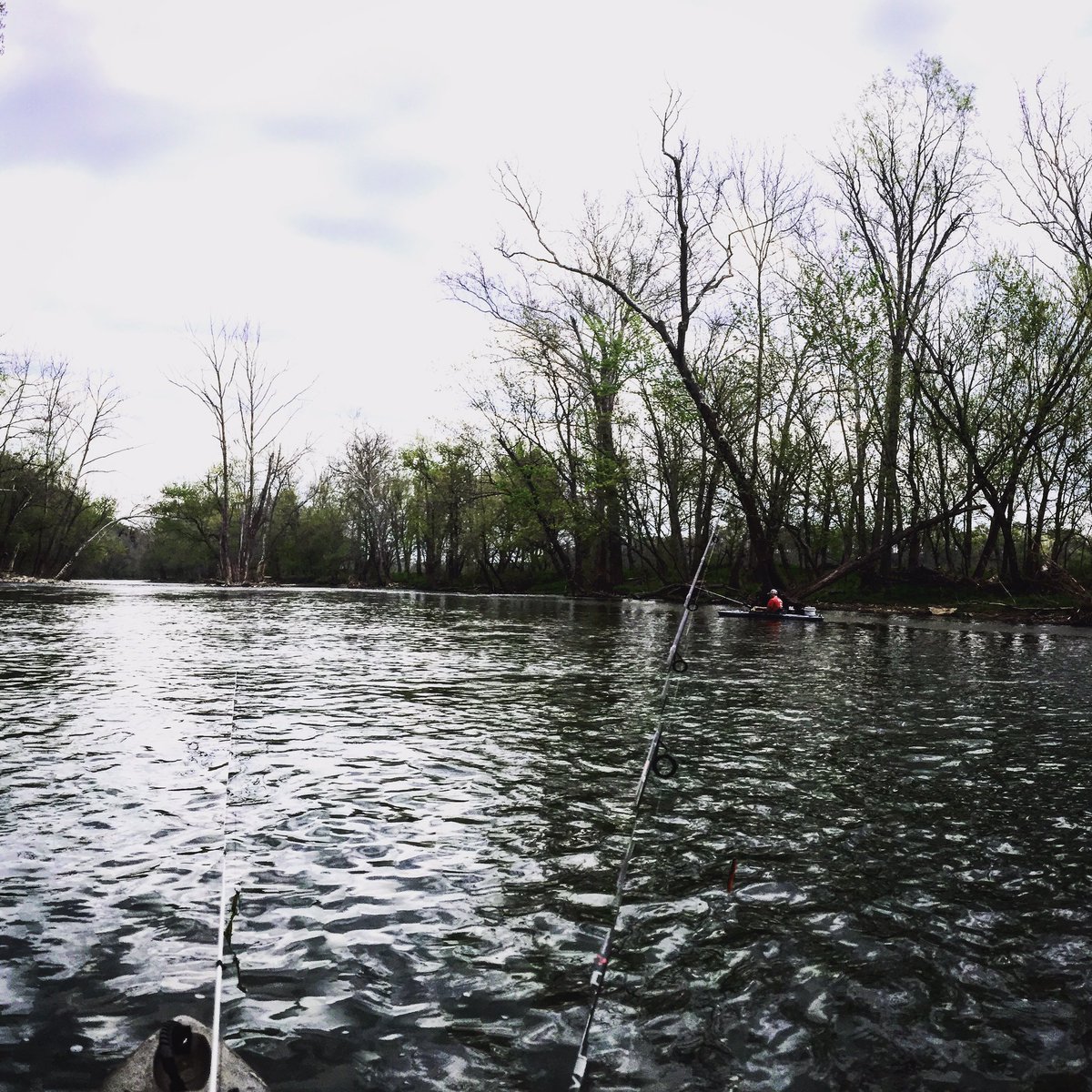 Elkhorn creek in Frankfort, Kentucky!