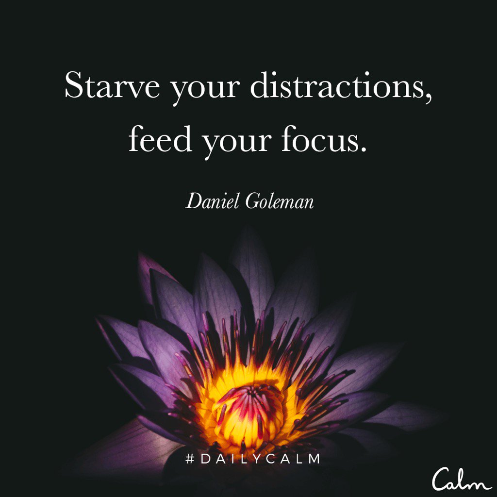 mjlewitt's tweet photo. #DailyCalm @calm https://t.co/zDLLhLS418 https://t.co/eWCsoXg8Fn