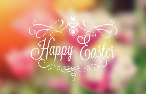 May you find true hope, joy &amp; purpose in the reason we celebrate Easter today! He is Risen! Easter blessings 🌷