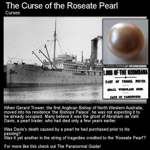 TaintedTales's tweet photo. Strange World #ParanormalGuide @Barnabas_Deimos @GothicLibrary13 @BlackeyedxBlond @DetectiveCreeps #ClassicHorror #Paranormal #Folklore https://t.co/x7sroBbfWk