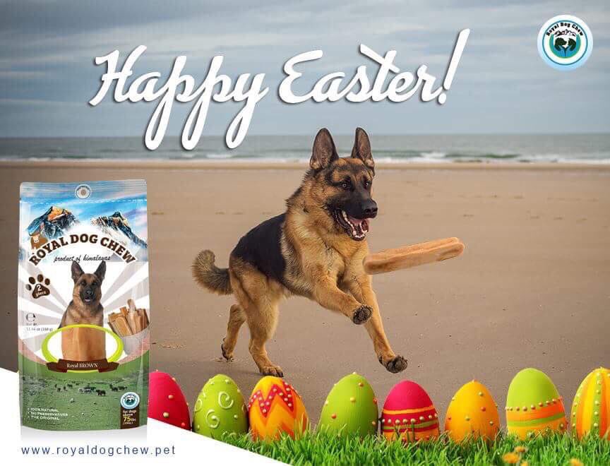 pemalamapakhrin's tweet photo. #himalayanproducts #royaldogchew #bestdogtreats # https://t.co/BoetfcfPEV
