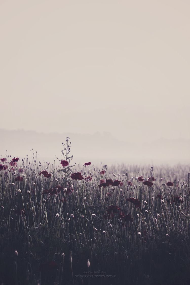 poetic_endings's tweet image. Bereavement is what happens to you.
Grief is what you feel.
Mourning is what you do.