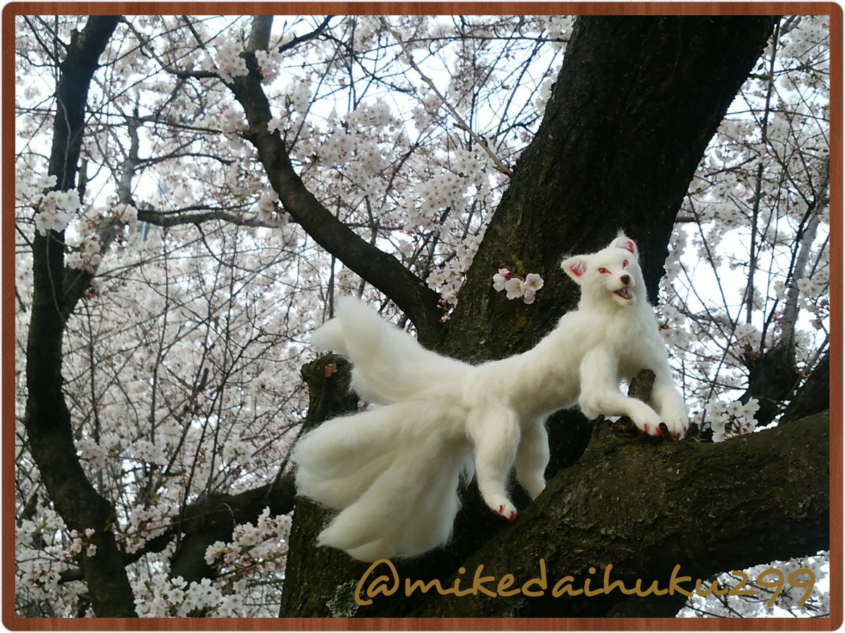 九尾の狐✨⭐️オルゴナイト⭐️✨鳳凰・持ち主の将来を明るく照らして安堵感 九尾の狐✨⭐️オルゴナイト⭐️✨鳳凰・持ち主の将来を明るく照らして