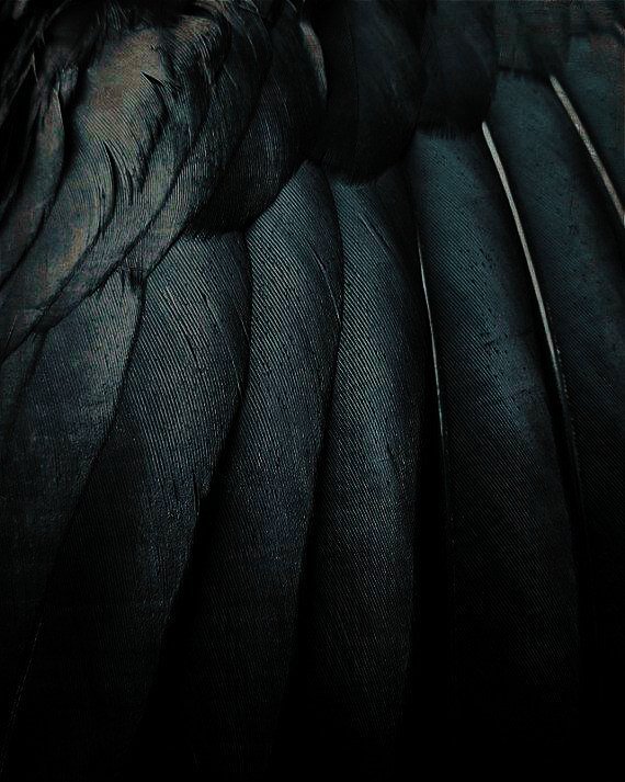 zayesthetic's tweet photo. https://t.co/Jt8Zqvd2hH