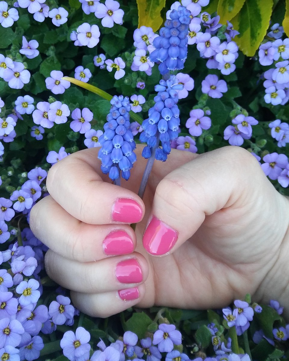 KatyLambson's tweet photo. #HappyEaster #SpringInFullSwing #CND #Shellac #BikiniPink #WhyColorEggsWhenYouCanAddColorToYourNails #ThisColorMakesMeSmile https://t.co/QosS2XdYhP