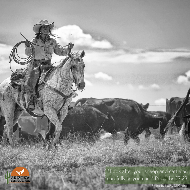 ArizonaBeef's tweet photo. #Wordsofwisdom #ranchwisdom Photo by Kathy McCraine https://t.co/TkJw07mS8f