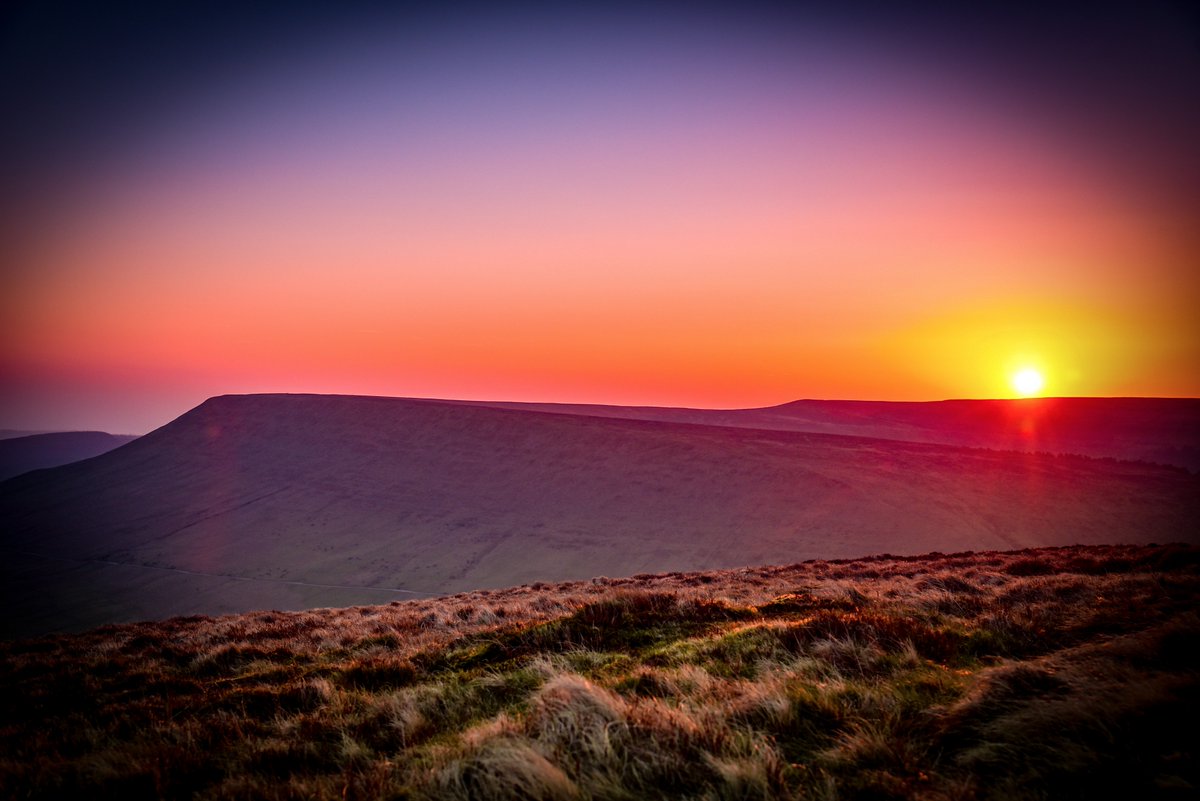 Shane White Photography tweet media