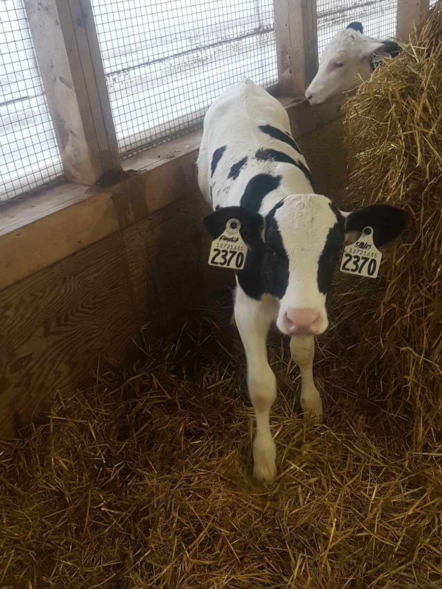 Phillip Vroegh tweet media