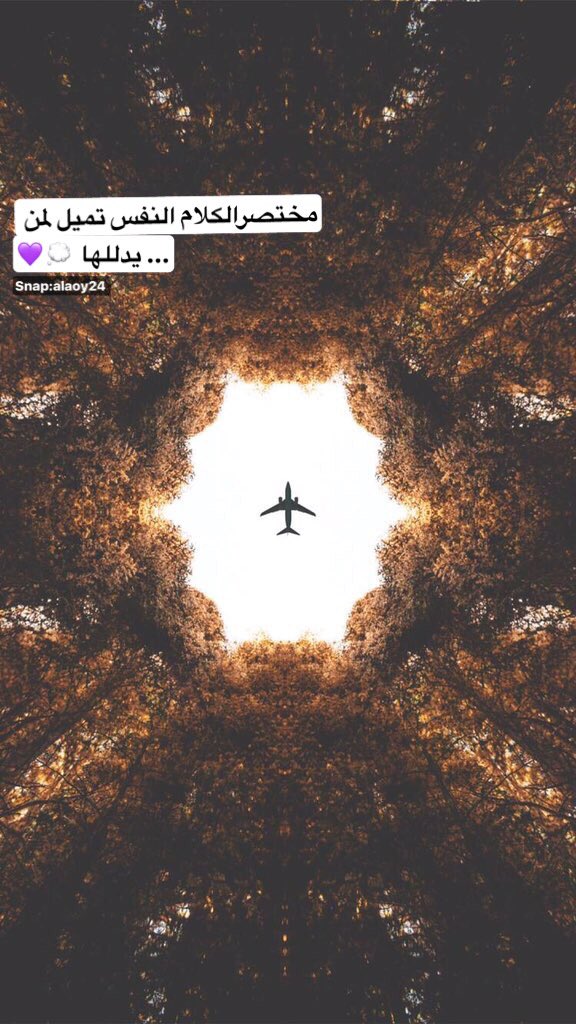 Ali59c tweet picture